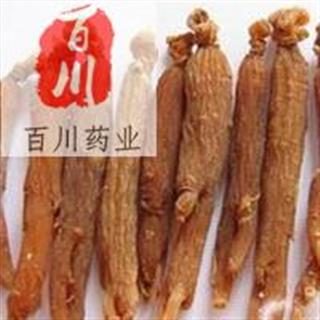 紅參最新標準全面解析,從入門到精通的指南