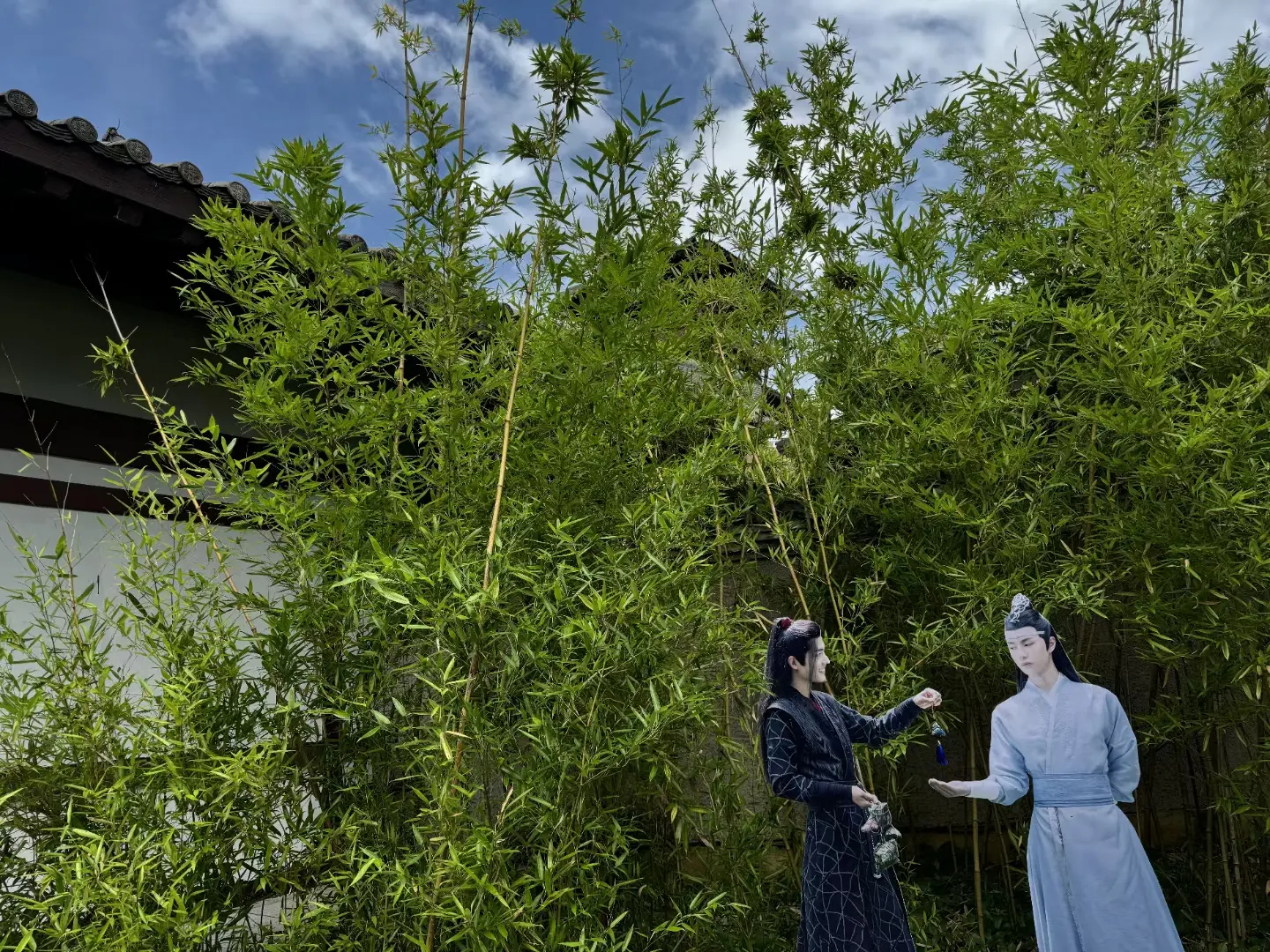 陳情令最新花,自然美景之旅,探尋內心寧靜與平和的旅程