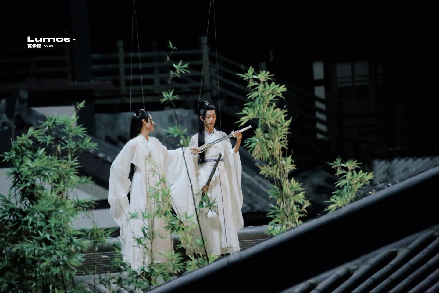 陳情令最新花,自然美景之旅,探尋內心寧靜與平和的旅程