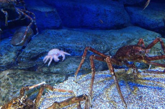 探索自然美景之旅,最新翻譯動態與內心的平和寧靜探尋