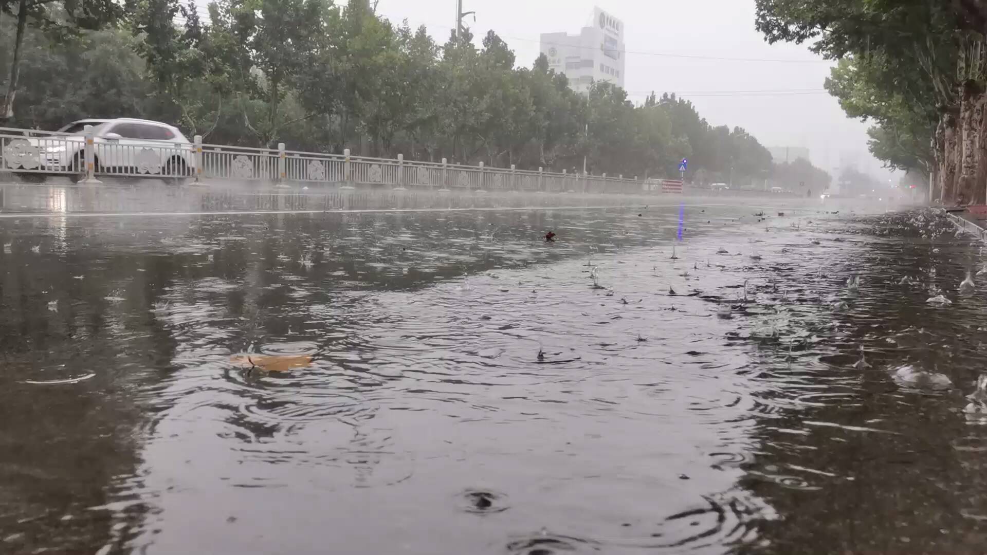 日照大暴雨下的溫馨日常與最新資訊