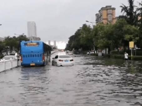 日照大暴雨下的溫馨日常與最新資訊