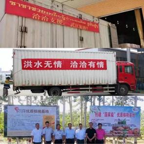 合肥廬江最新汛情解析與報(bào)告