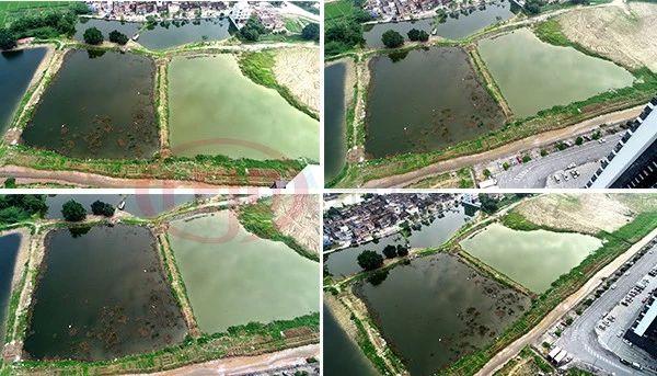 江門東匯城最新動態,多維視角探析發展與影響