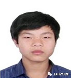 滄州通緝犯最新動態,科技助力追捕,智能產品重塑安全防線