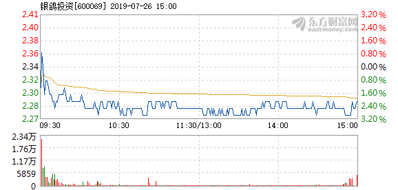 銀鴿投資股票最新消息，科技領航，未來觸手可及的前景展望