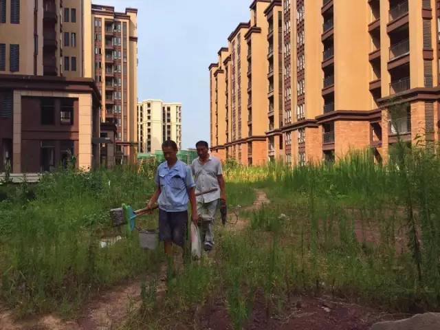 宜賓和都國際最新動態更新