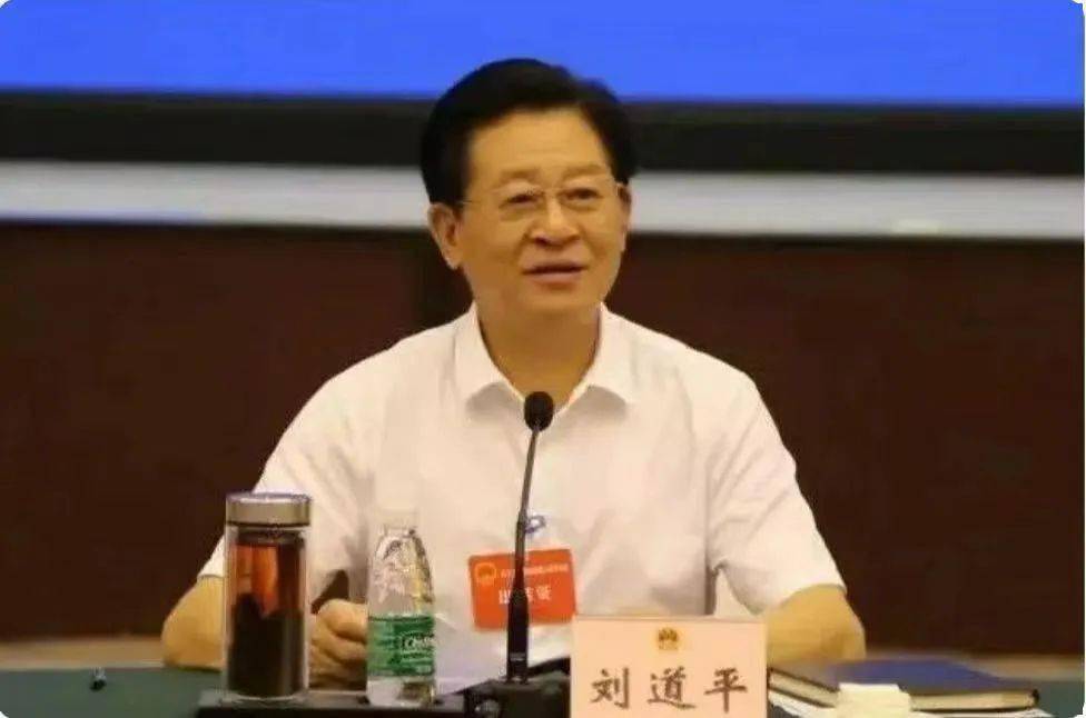 2025年劉道平最新去向揭秘,步驟指南