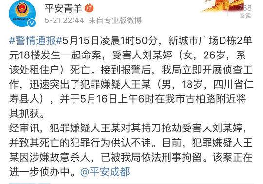 四川成都殺人案最新深度解析與案例分析