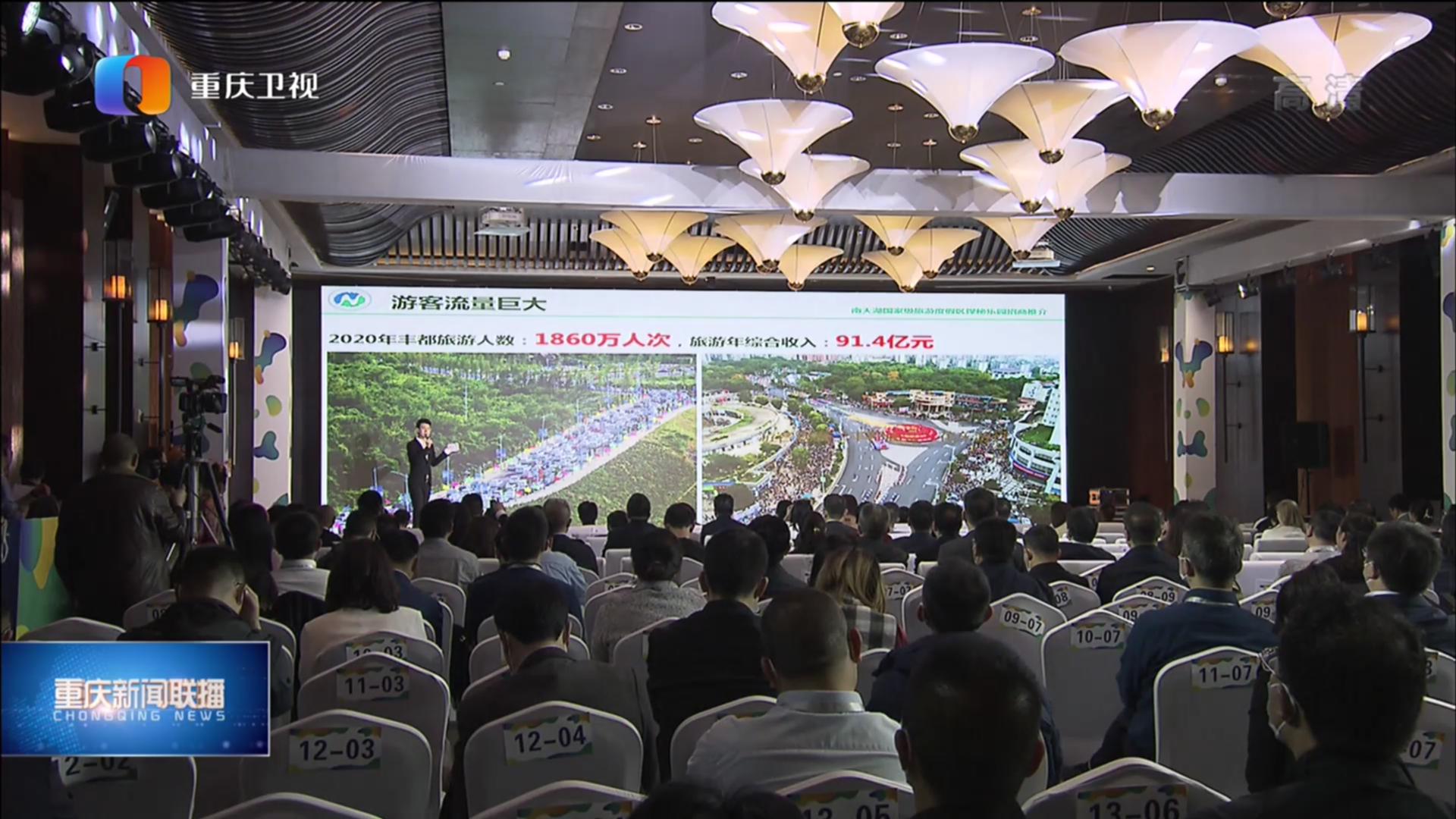 豐都新聞聯播最新消息,日常溫馨小事展現愛與陪伴的力量