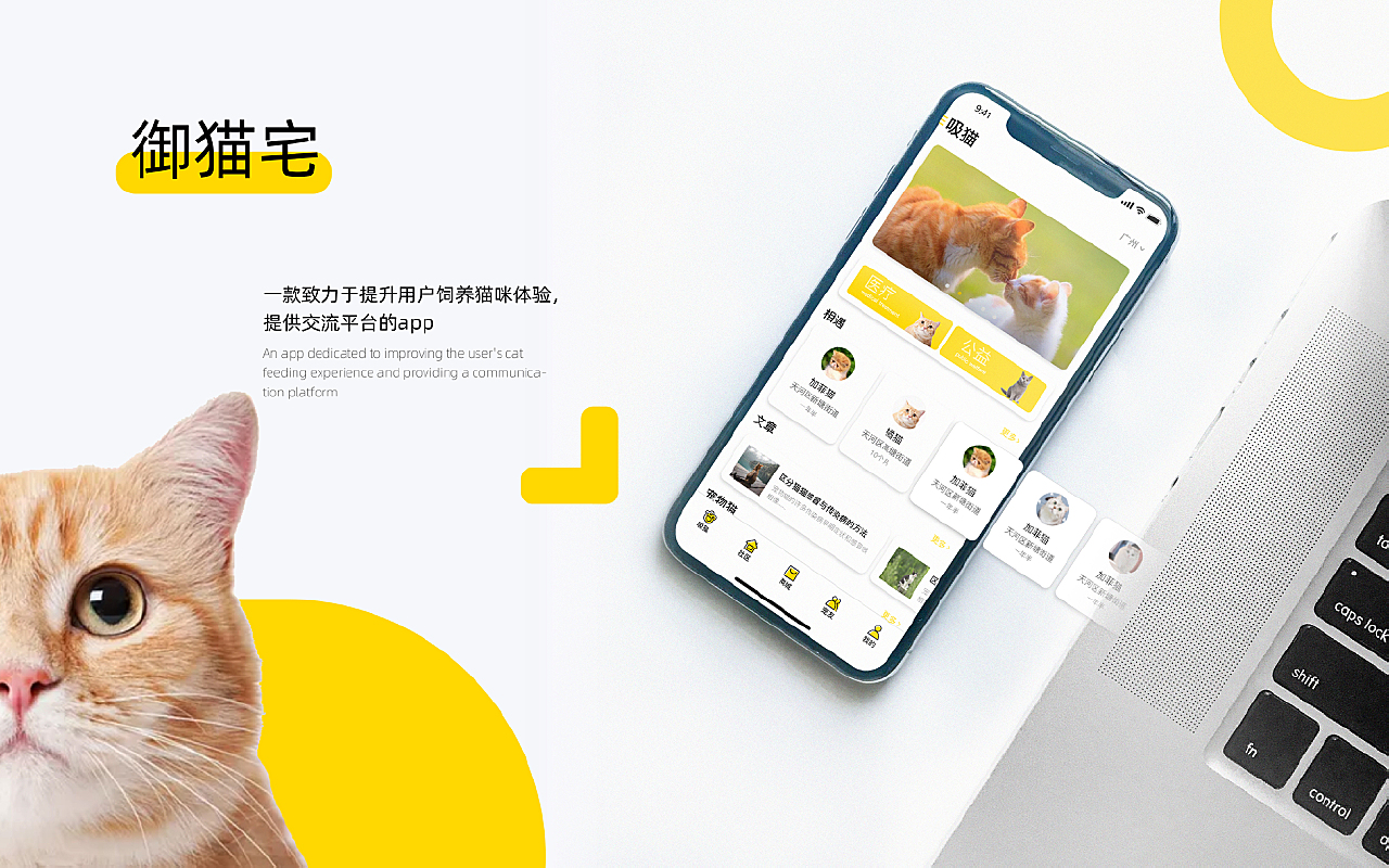 貓咪app破解版最新版,科技寵物革命性躍遷的突破應用