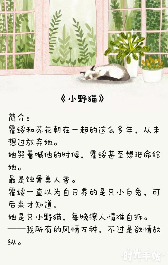 短篇校園辣文合集,陽光下的校園趣事最新章節匯總