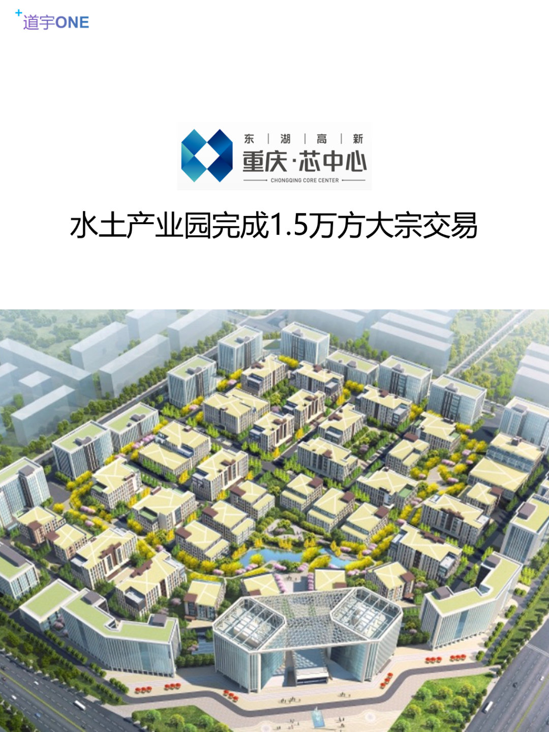 重慶苗龍集團最新動態,小巷中的獨特風味探索之旅