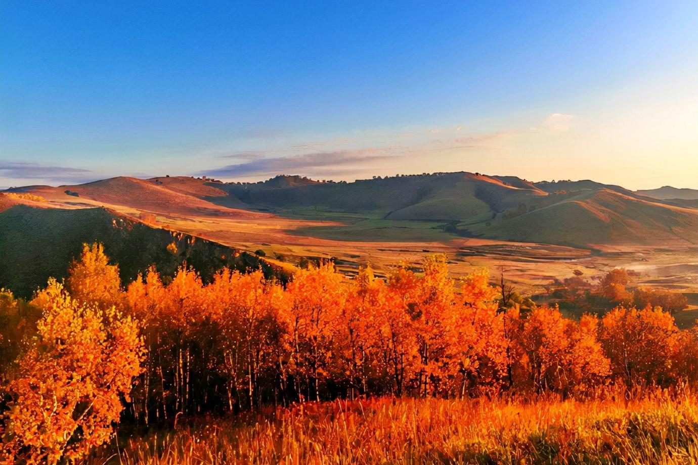 正商公主湖最新動態,探索自然美景,尋覓內心平和與寧靜的旅程