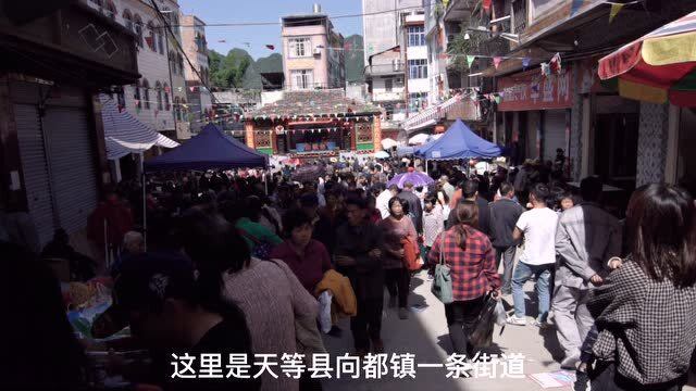 天等向都鎮(zhèn)最新動態(tài)更新