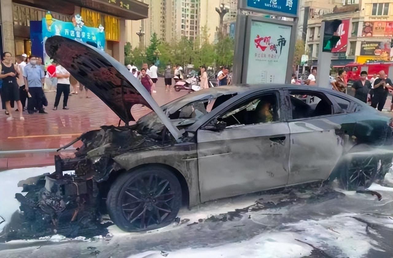 閬中自然美景探索之旅,遠離交通事故,擁抱大自然的魅力