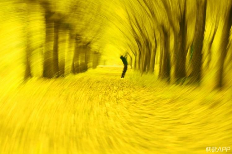 邳州鐵富事件最新進展及小巷深處的獨特風味揭秘