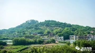 最新嵐角山巴洲村征收,背景、進展與影響全解析