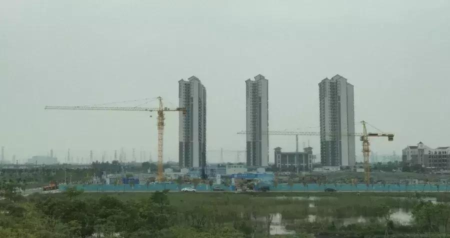 南沙區鳳凰橋最新動態揭秘????