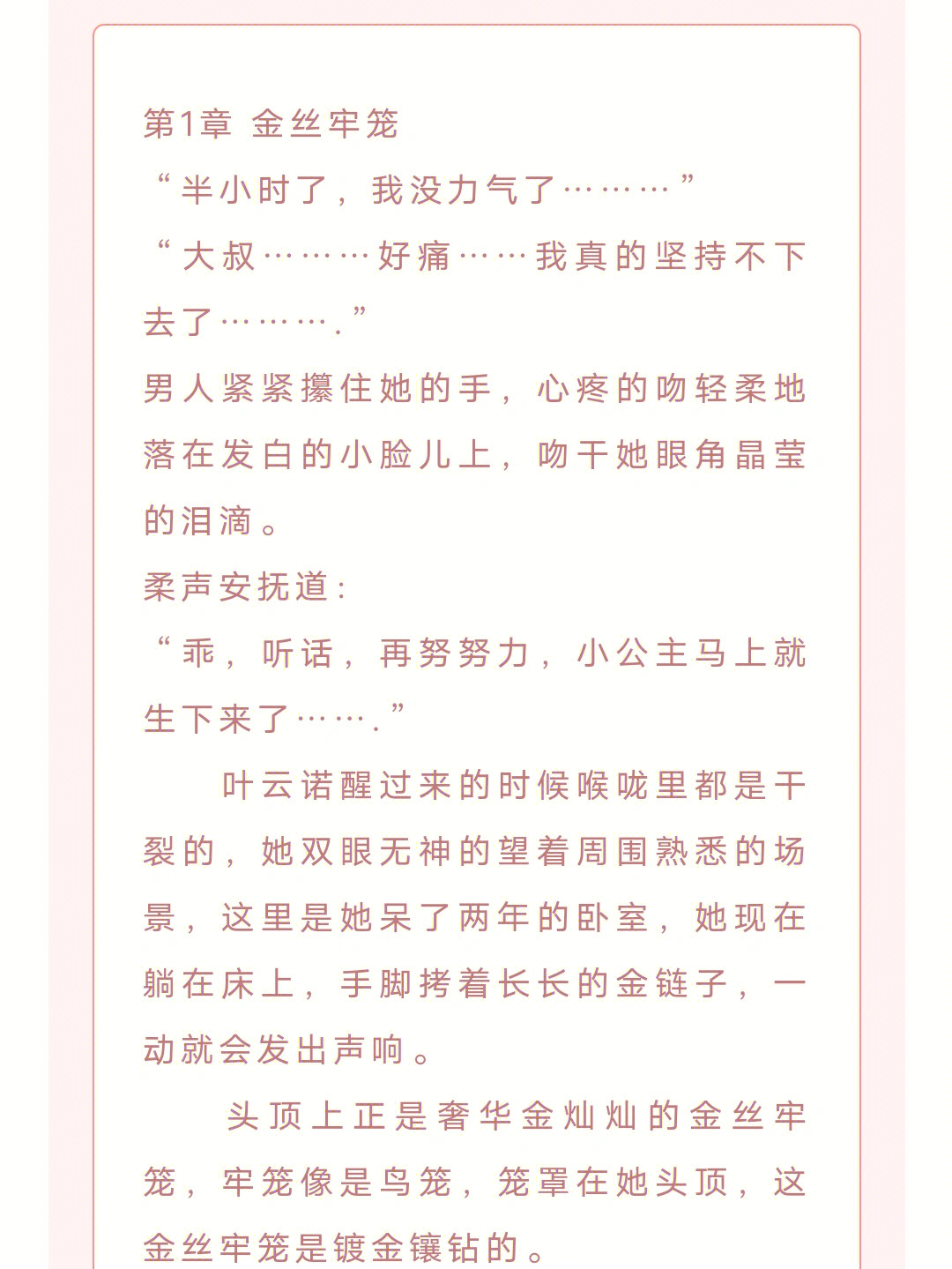 金絲雀葉蘭心,時代之光下的綻放之最新章節