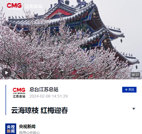 和安梅花城最新動態更新