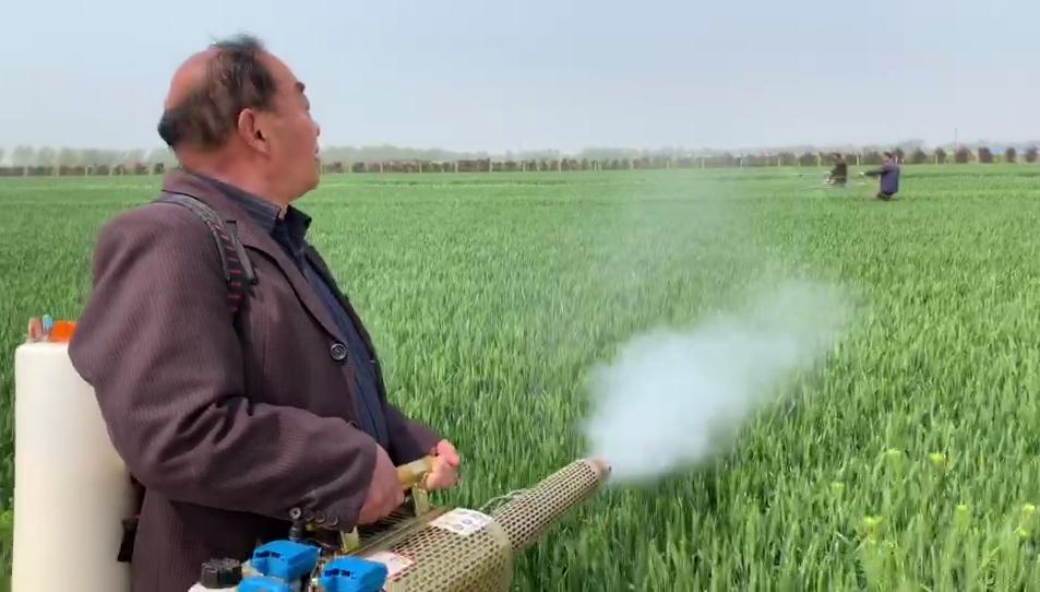 鴨河工區2025最新動態及發展前景深度解析