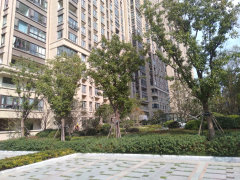 南辰濠郡最新消息全攻略,從初學者到進階用戶的獲取指南