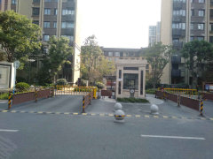 南辰濠郡最新消息全攻略,從初學者到進階用戶的獲取指南