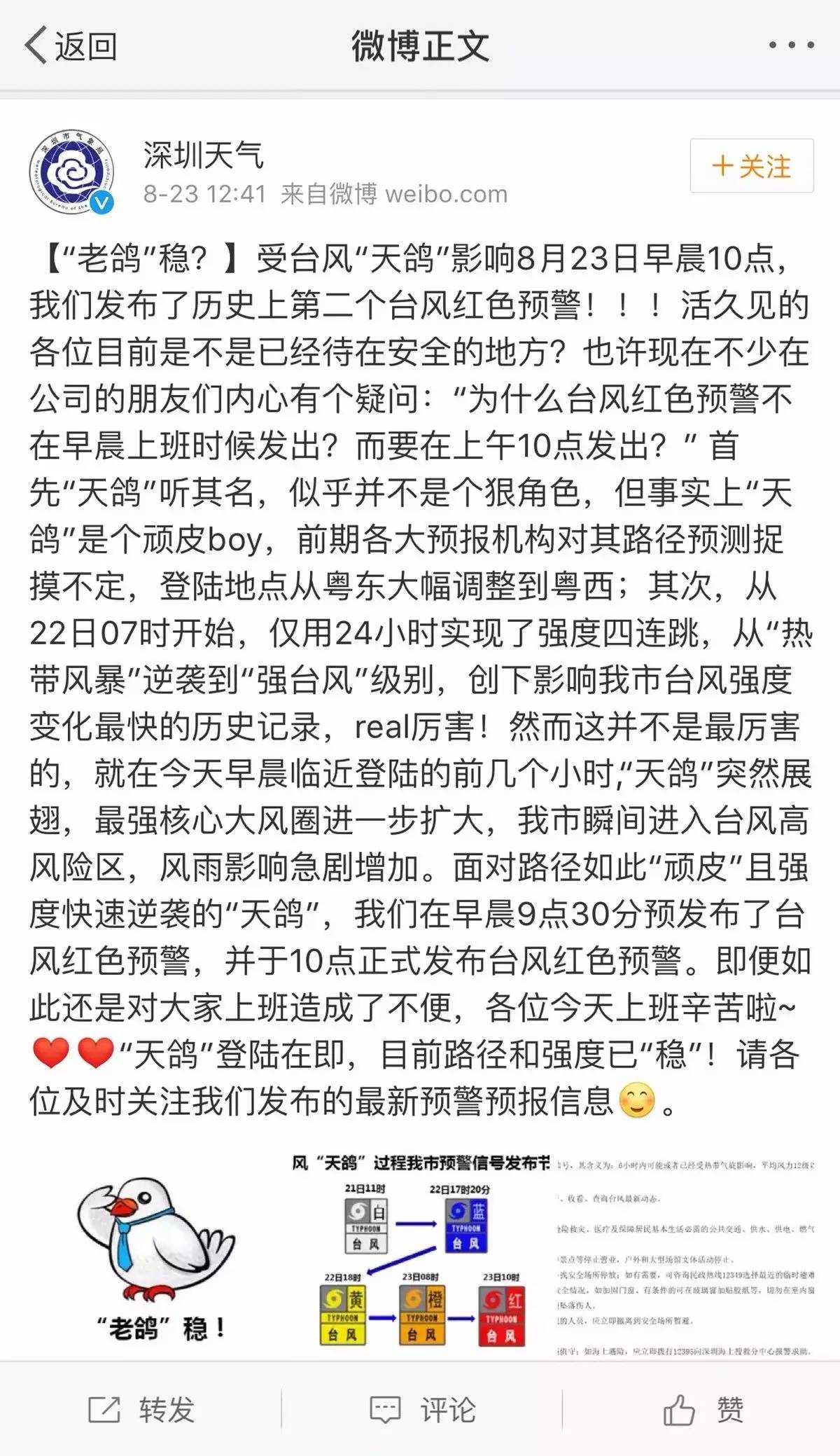 臺風天鴿最新動態,逆風翱翔,學習變化的力量鼓舞人心