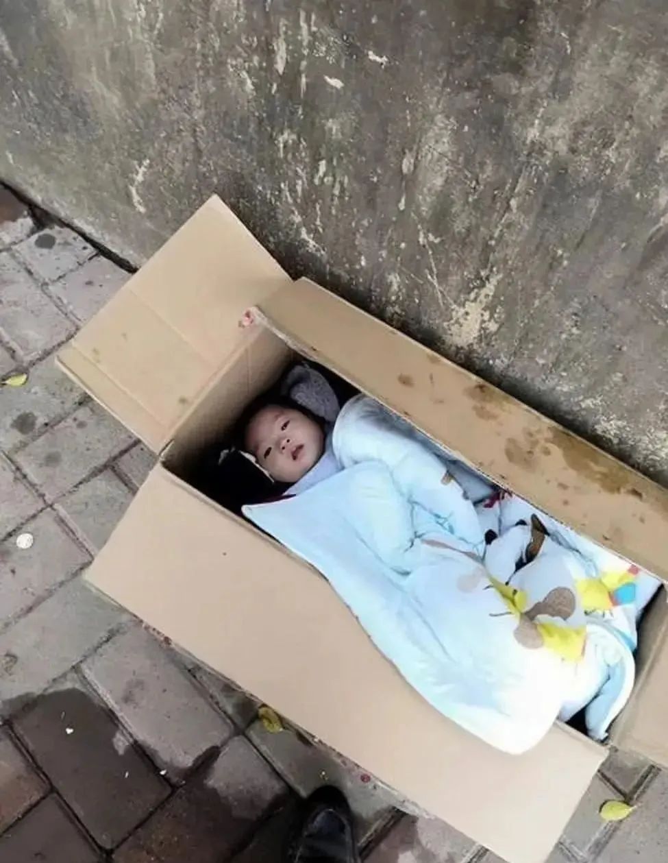 最新消息,被遺棄小孩的情況更新