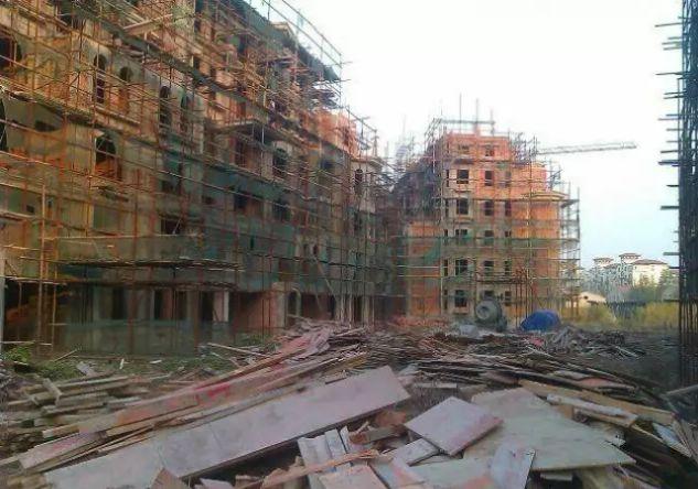 加州玫瑰園最新動態與全面游覽指南,打造完美體驗之旅