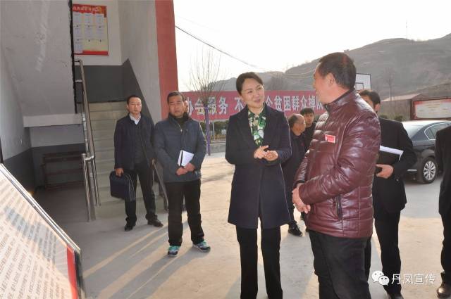 丹鳳鄭曉燕的最新動態更新消息揭秘