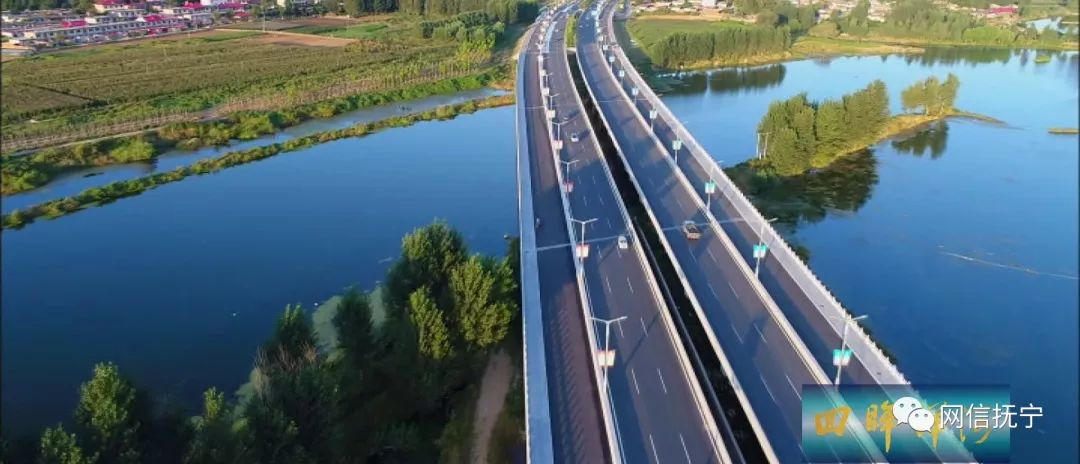 撫寧寧海大道最新動態更新