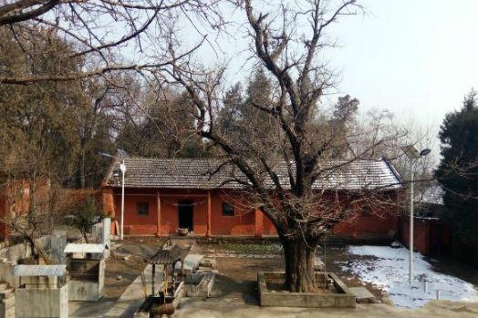 徐州城置三期最新動態揭秘