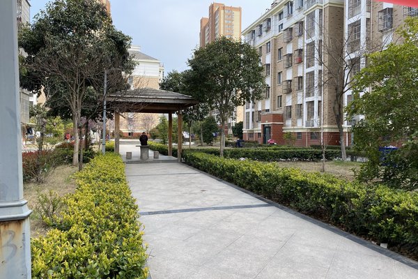 泗陽東城一品最新圖片及其獲取指南