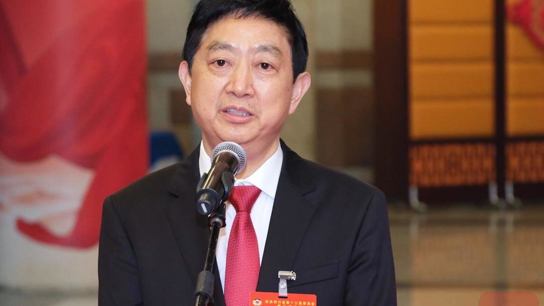 王廷江最新消息,未來展望與深度解析?????????????????????????????????????????????????????????????????????????? ??(深度解析版)