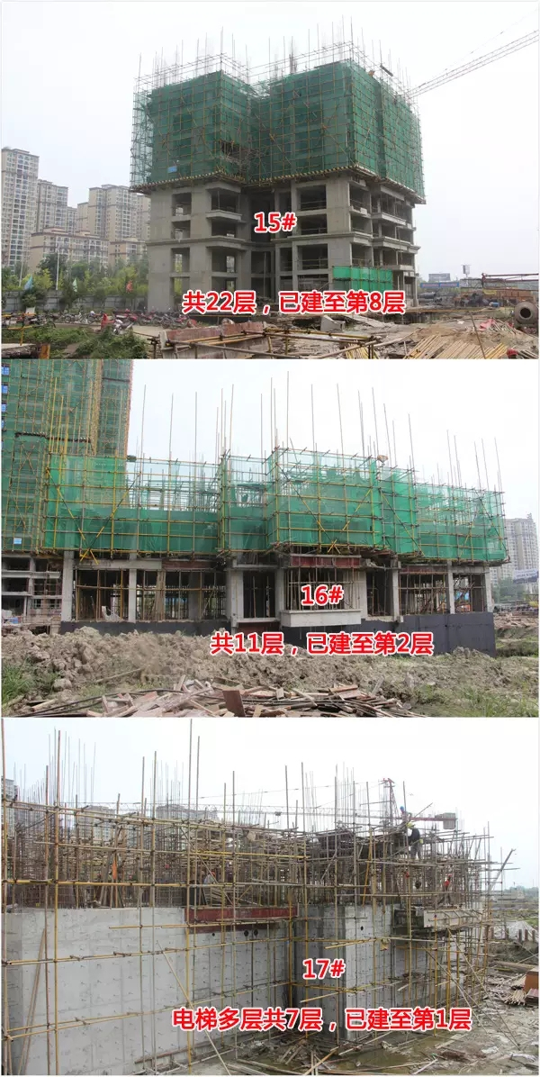 新城壹號五期最新動態(tài)揭秘