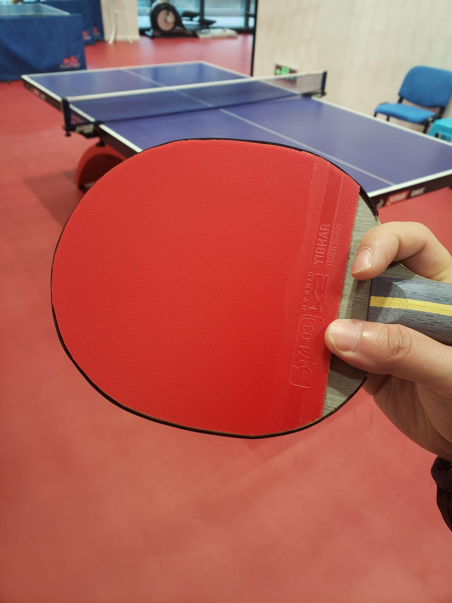 最新直拍橫打底板,學習之路與自信之光