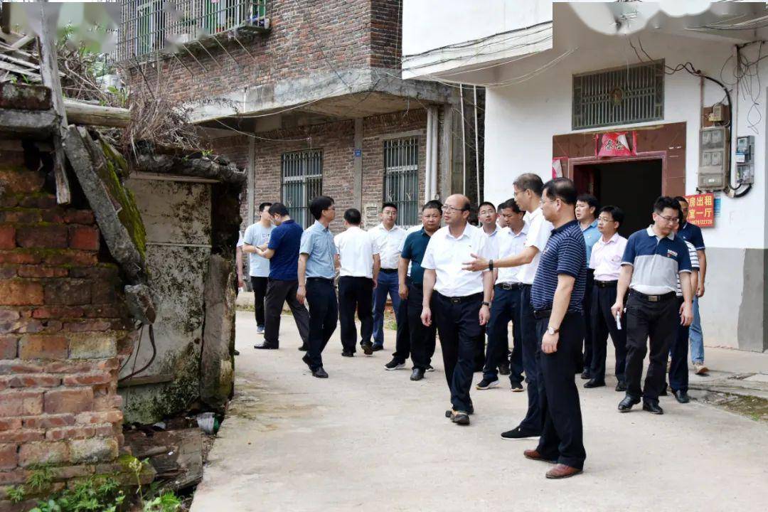 定南徐美清最新動態,自然美景探索之旅,尋找內心平和與喜悅的旅程