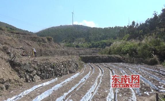 莆田坪洋村新貌，變化中的村莊，自信與成就感的源泉最新消息