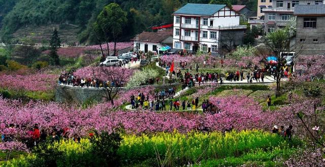 莆田坪洋村新貌,變化中的村莊,自信與成就感的源泉最新消息