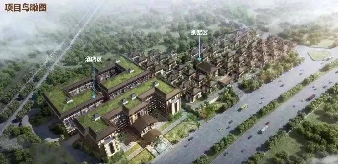 廣州市增城區(qū)最新新聞,學習變革春風助力自信成就之花綻放