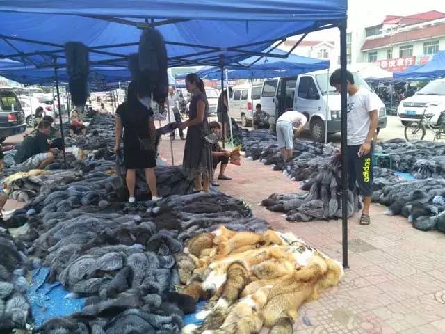 尚村毛皮市場,繁榮與挑戰(zhàn)并存——最新市場動態(tài)分析