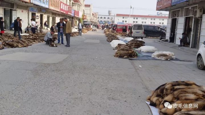 尚村毛皮市場,繁榮與挑戰(zhàn)并存——最新市場動態(tài)分析