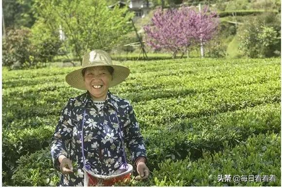 湖北鹽改最新消息新聞更新