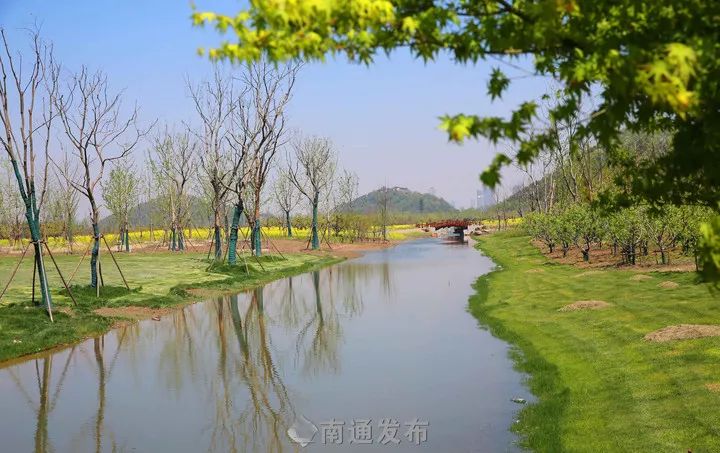 南通森林公園最新動態,綠色發展典范展現時代風采
