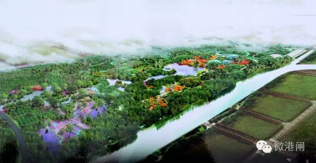 南通森林公園最新動態,綠色發展典范展現時代風采