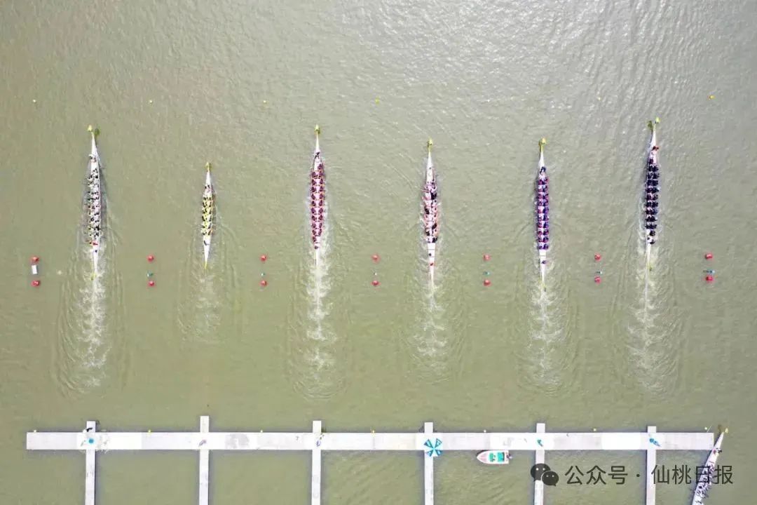 最新無為三汊河龍舟賽,學習變遷之路,自信與榮耀的匯聚點