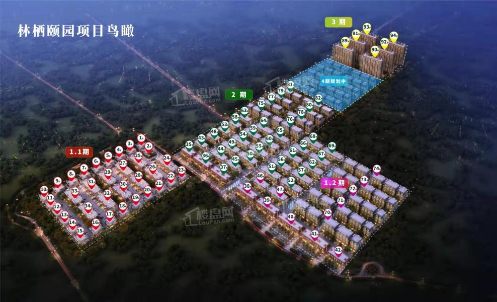 永清森林家園最新動態揭秘,森林中的日常趣事一網打盡!