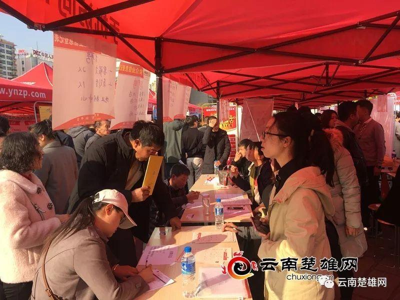 楚雄州委最新人事公示與小巷深處的獨特風味揭秘